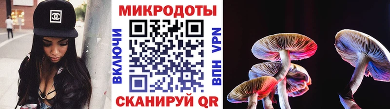 Галлюциногенные грибы Psilocybine cubensis  Пыталово 